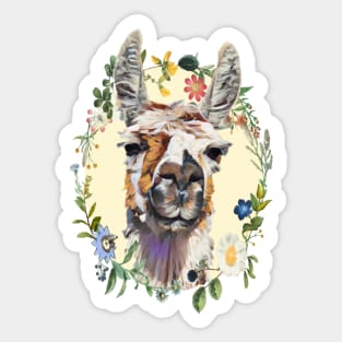 Llama -  Floral Sticker